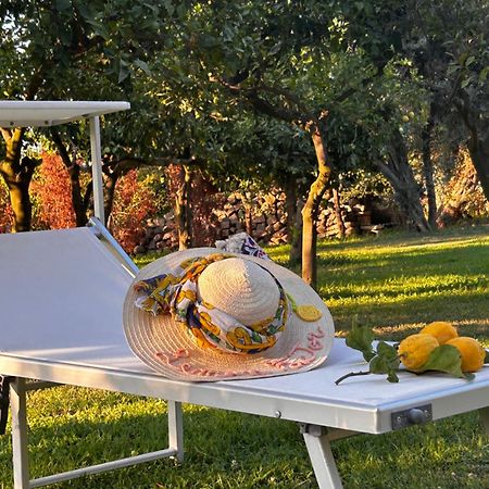 Bed and Breakfast Lemon Factor Península Sorrentina Exterior foto