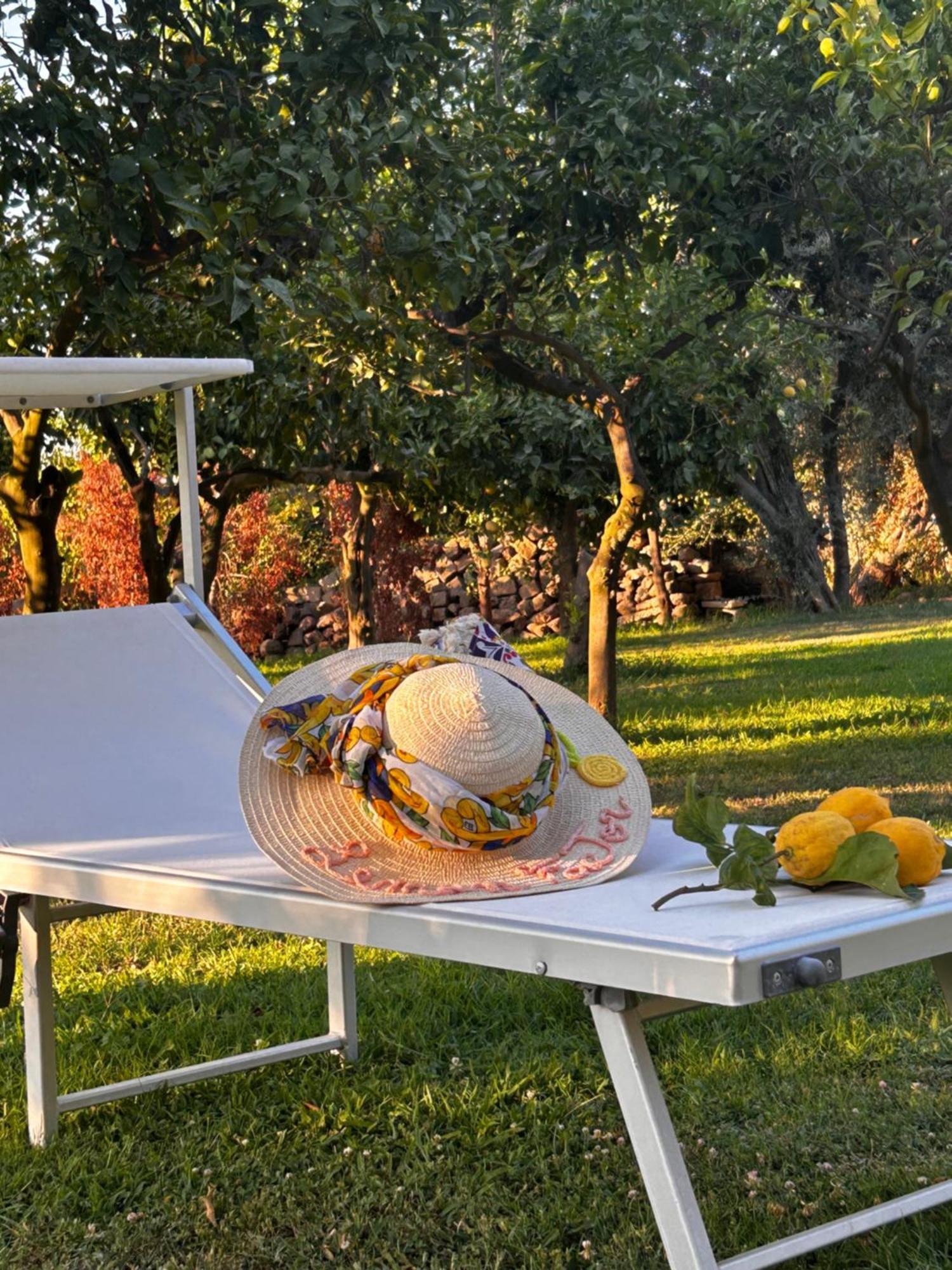 Bed and Breakfast Lemon Factor Península Sorrentina Exterior foto